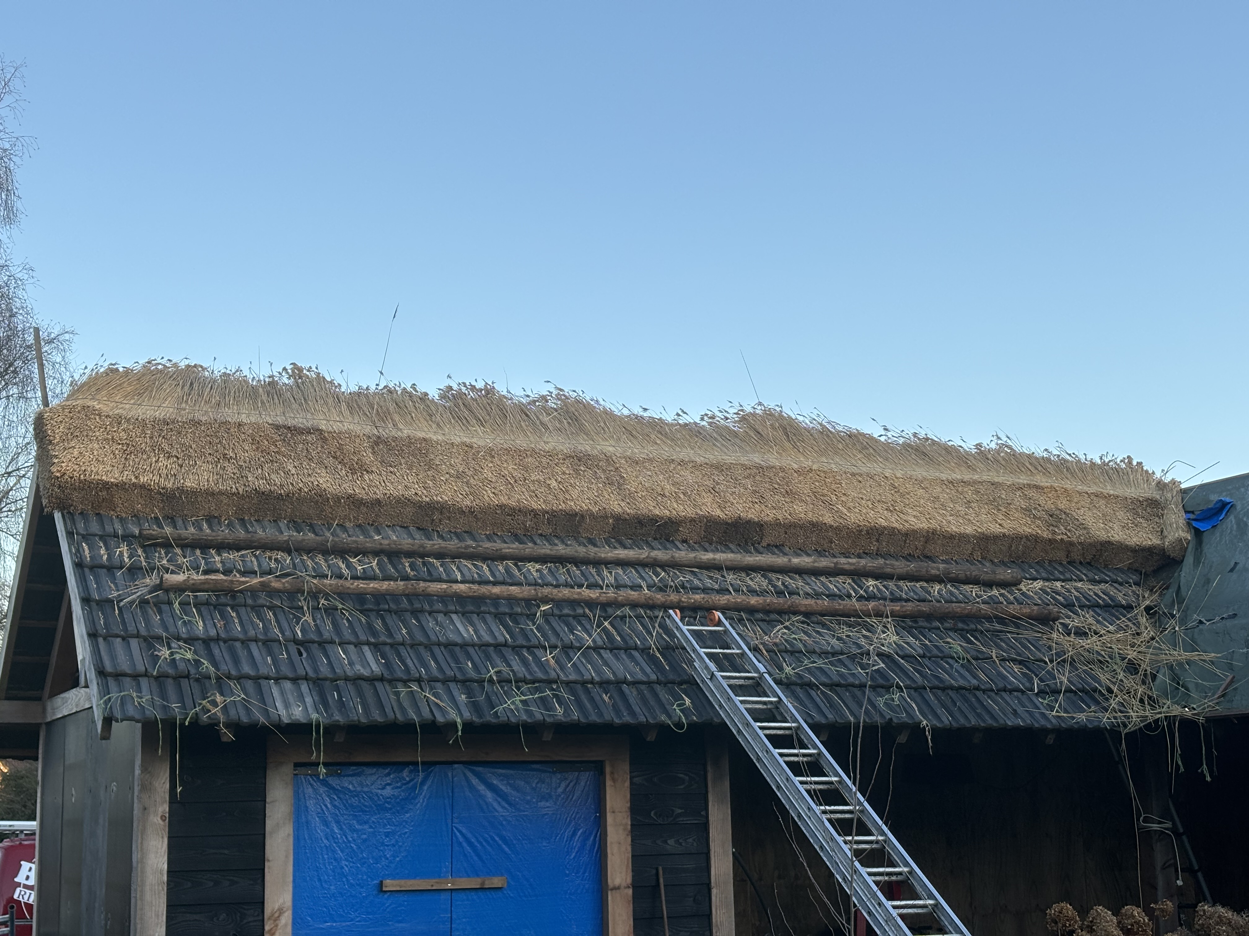 Rietdekker aan het werk